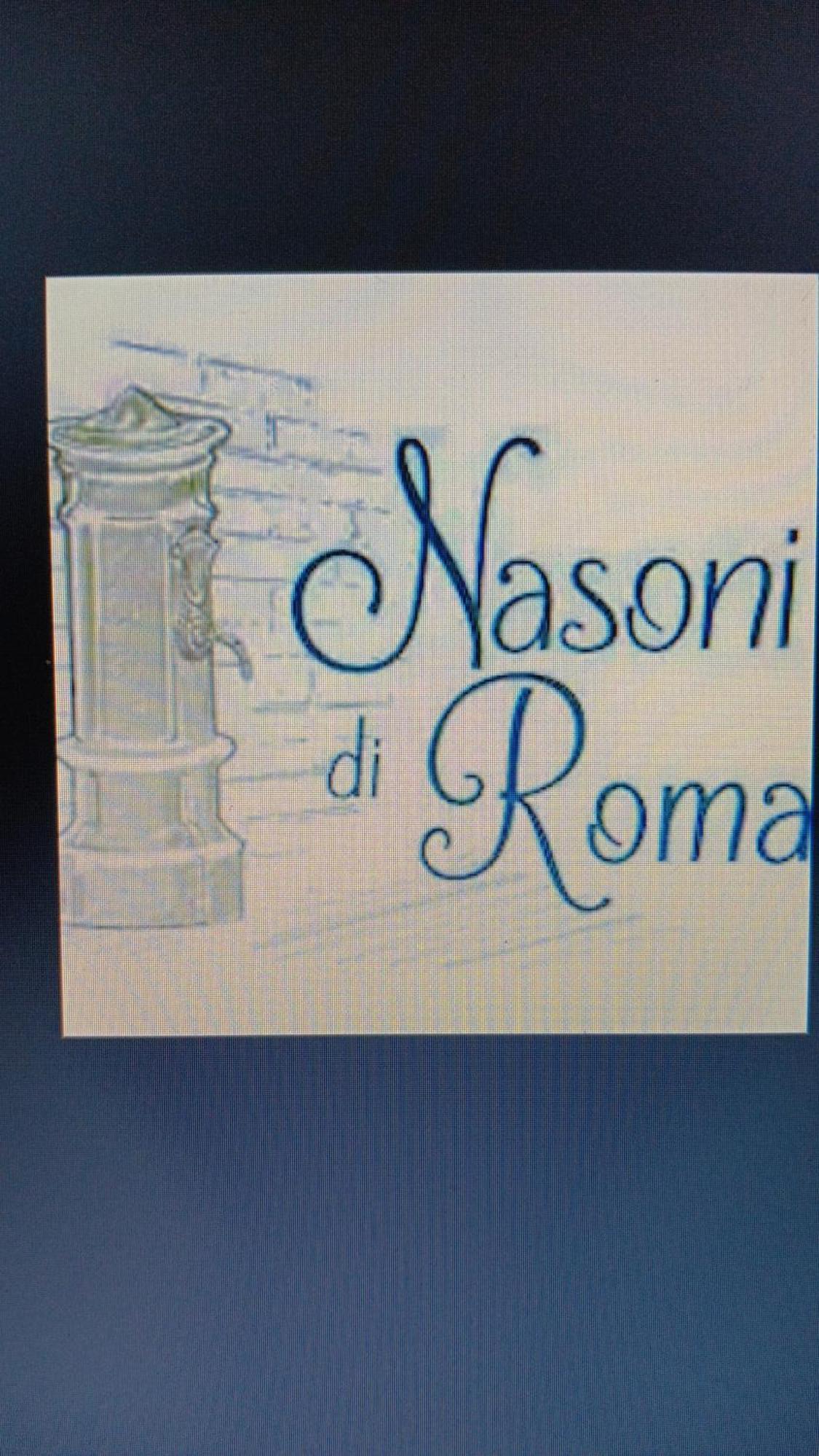 Nasoni Di Roma Aparthotel Exterior photo